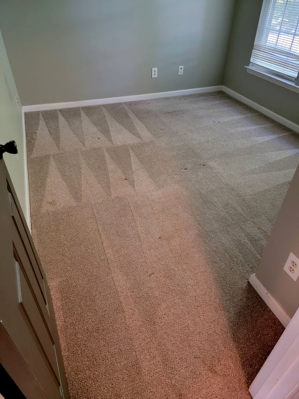 Hot Water Carpet Extraction - Bed#2