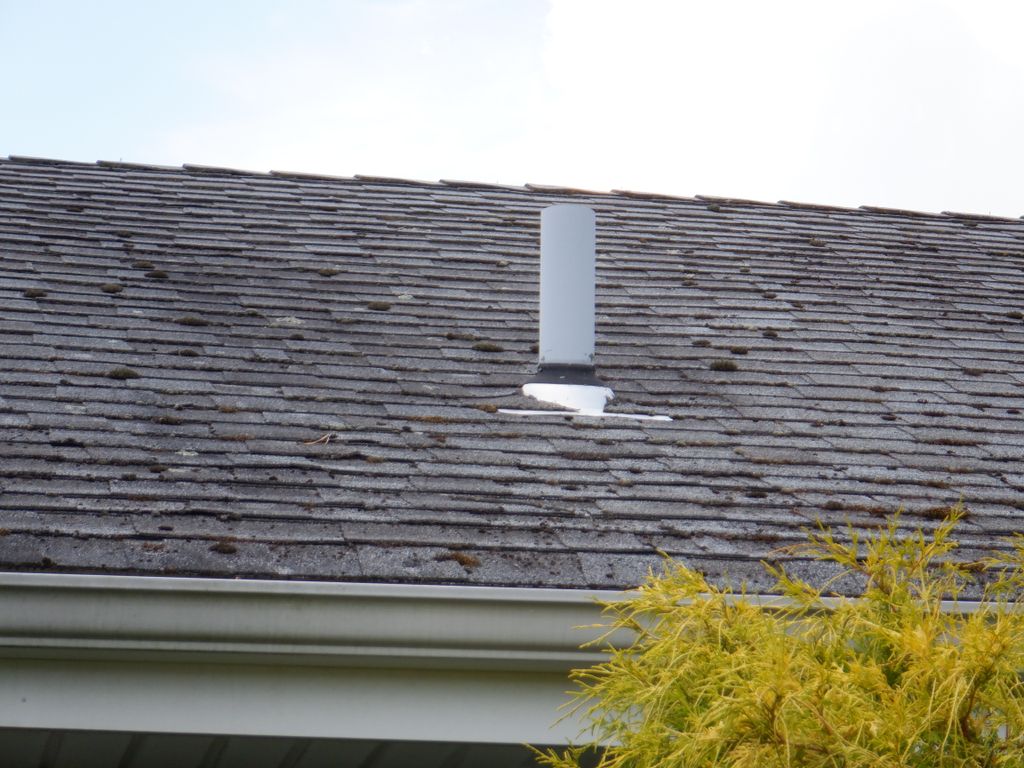 Excessive moss buildup on roof 