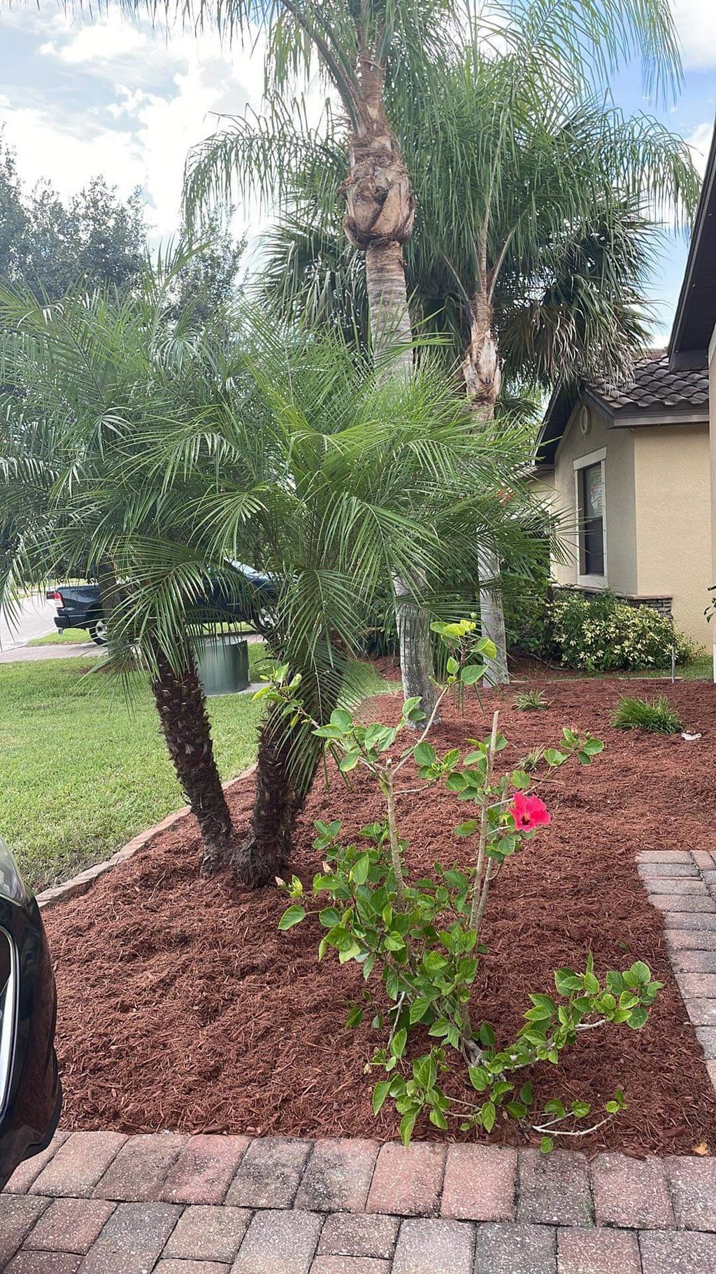 Customer photos
