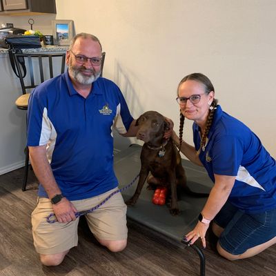 Avatar for The Pooch Pros