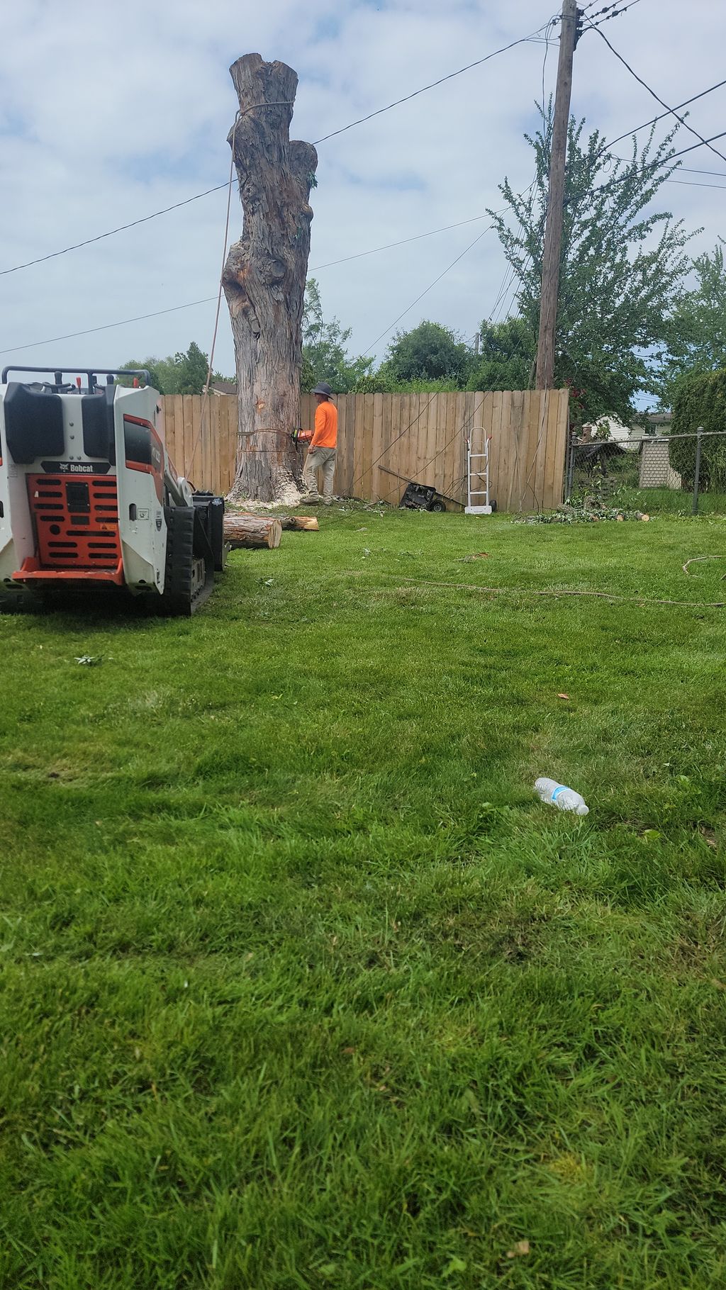 Ruben's Tree Service
