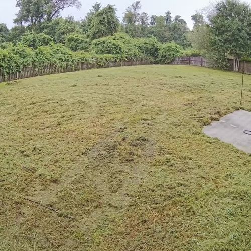 I had the worst backyard lawn and it really annoye