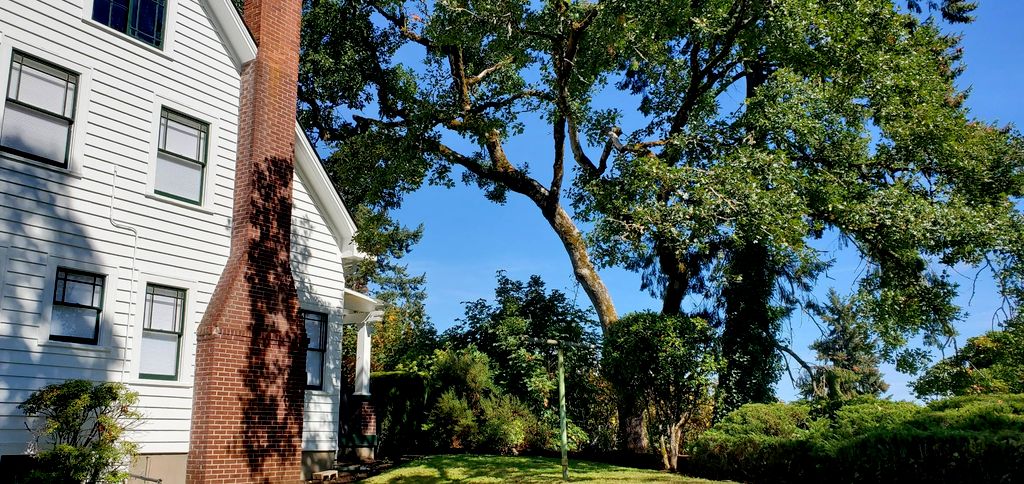 tree maintenance on the Swan house that was in the