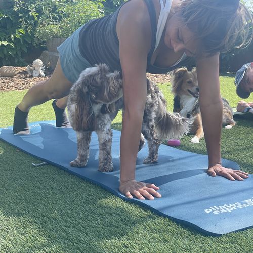 Pilates and Pets  
