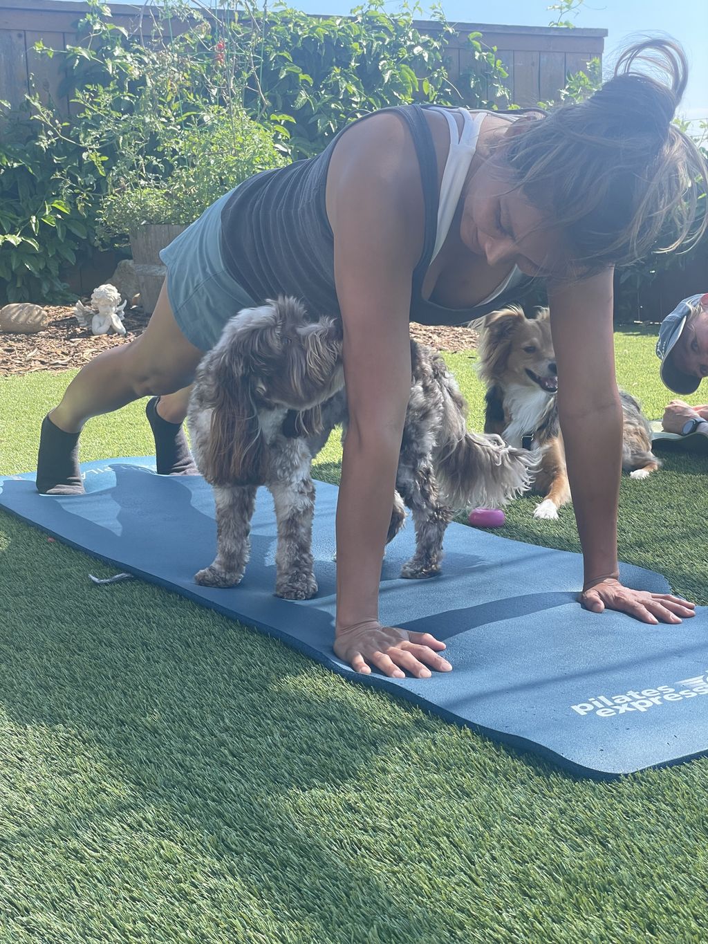 Pilates and Pets  