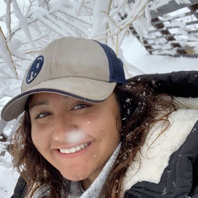 Avatar for Denise yard maintenance