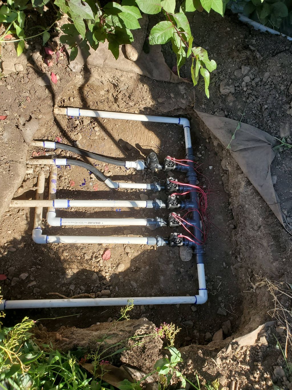 Projects and media