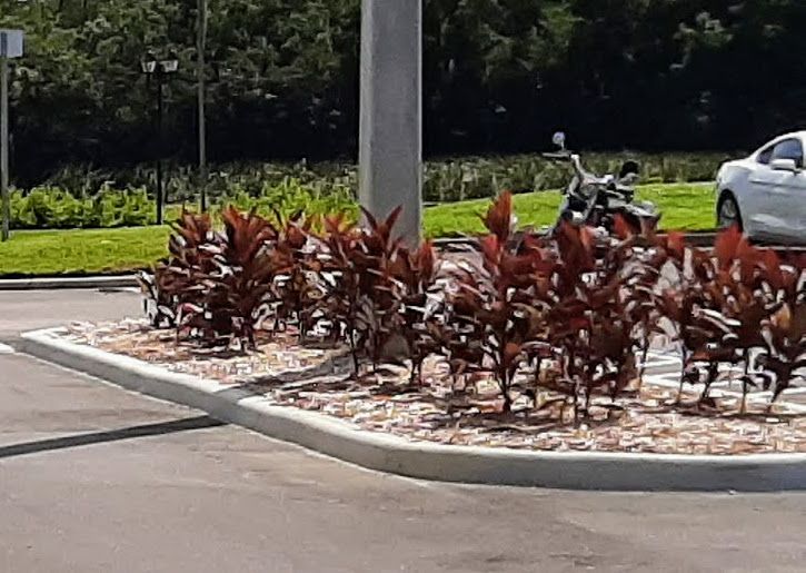 New Landscaping 