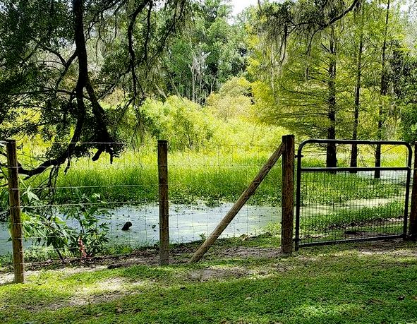 Field Fence
