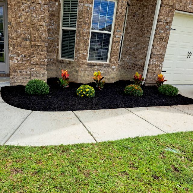 Perez Professional Landscaping Savannah, GA Thumbtack