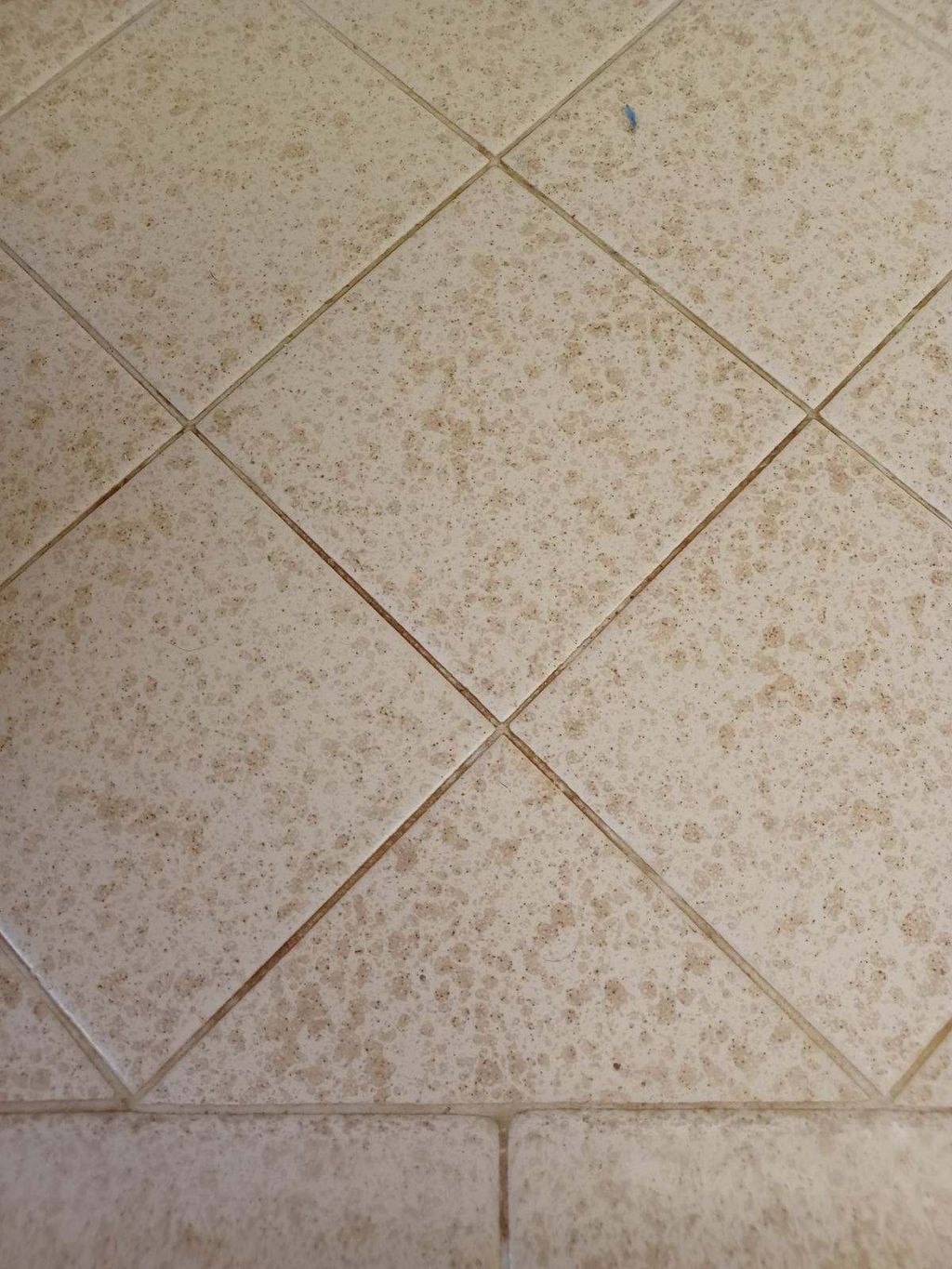 Before grout cleaning