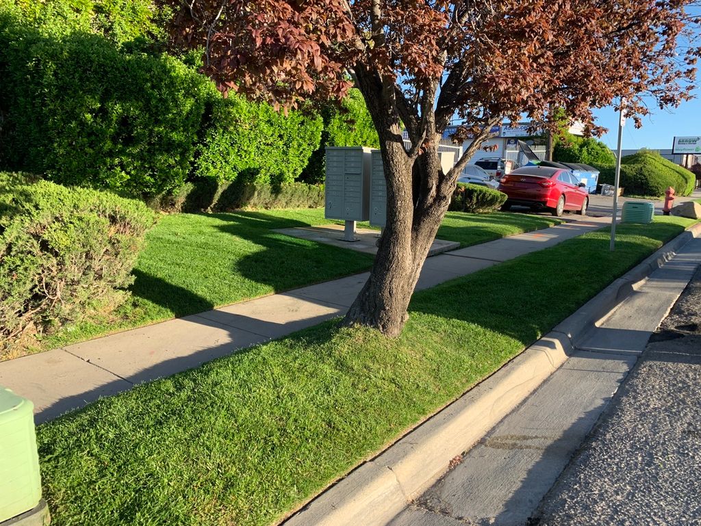 Weekly Lawn Maintenance 