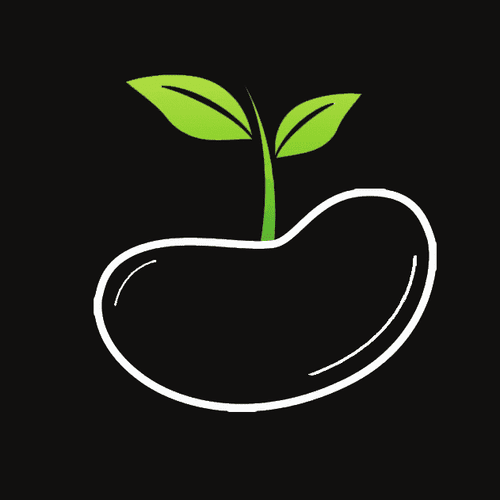 Bean Lighting & Production