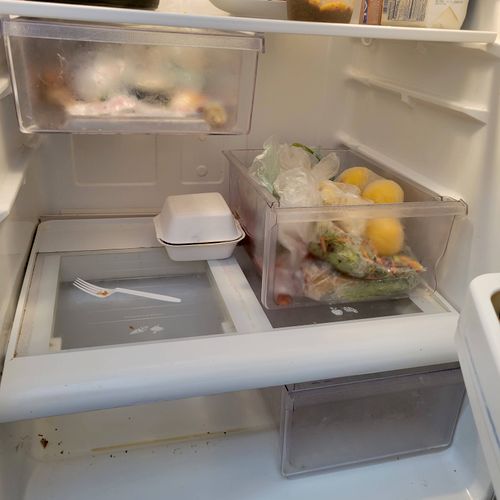 Inside refrigerator before