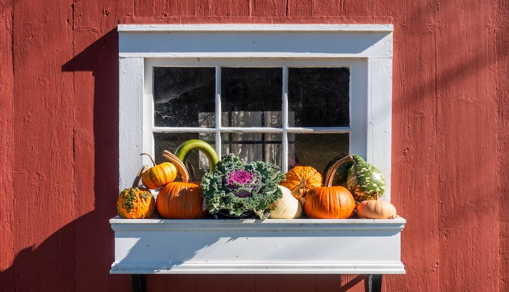 fall winter planter box ideas