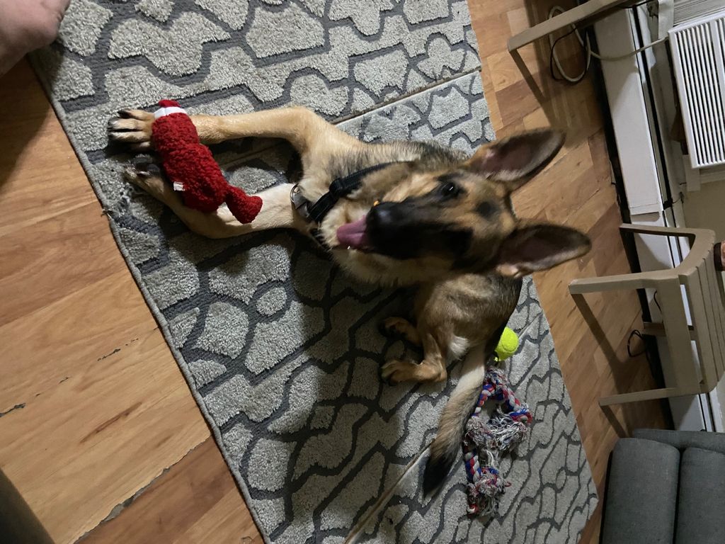 Customer photos