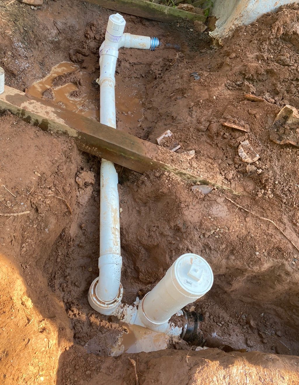 6” clay collapsed from the roots growin in the pip