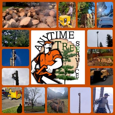 Avatar for ANYTIME TREE SERVICES LLC
