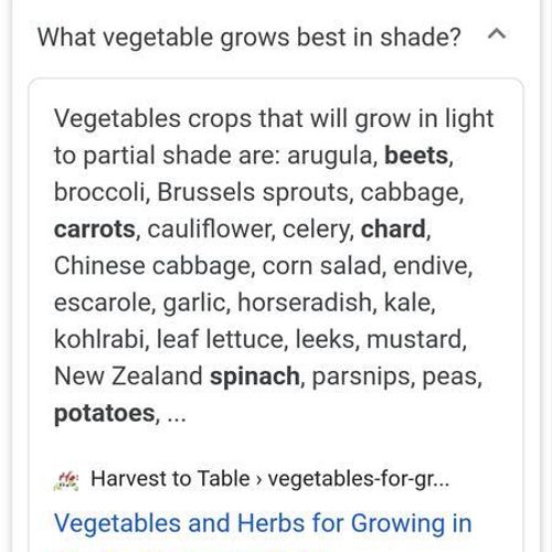 Planning for vegetables