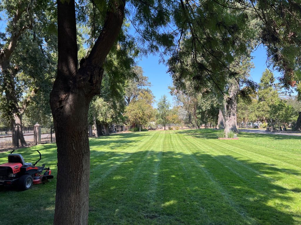 We have a large lawn that takes a lot of special c