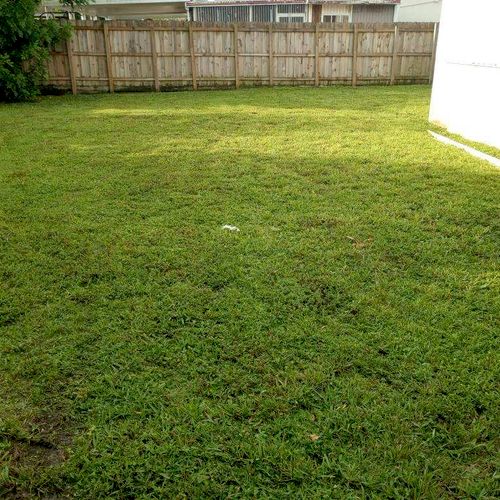 Hello All,
I am very satisfied with my lawn result