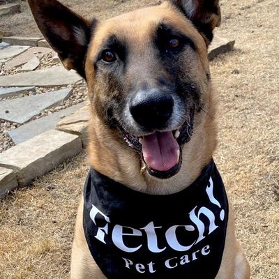 Avatar for Fetch! Pet Care of East Memphis