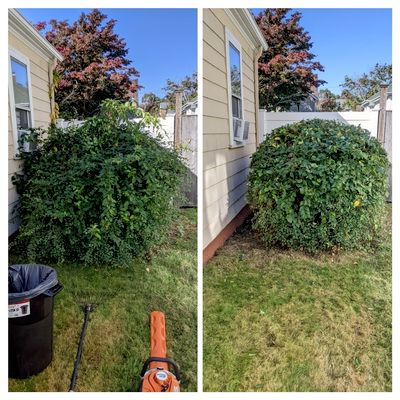 Avatar for Joses mulch and trimming