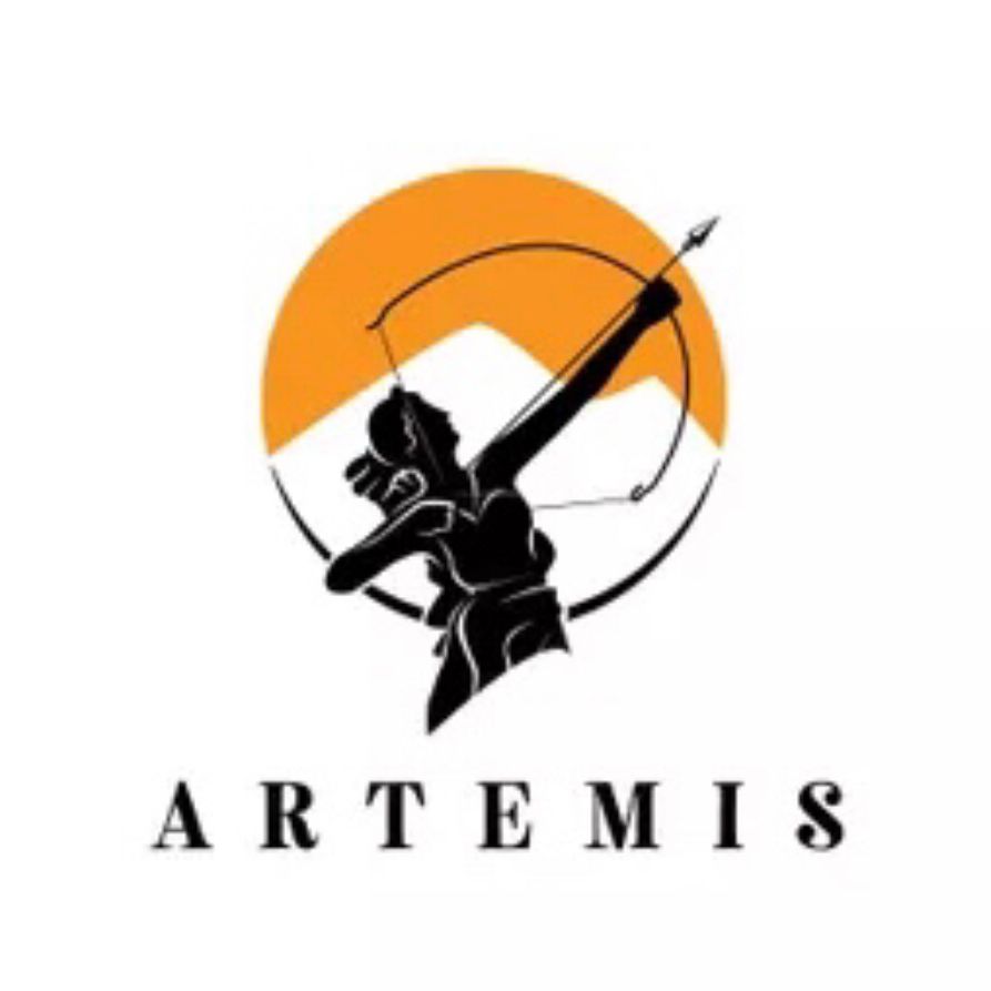 ARTEMIS SECURITY AGENCY