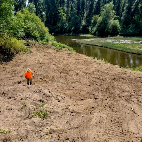 Land Clearing