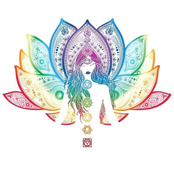 The Holistic House