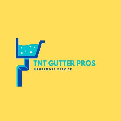 Avatar for TNT GUTTER PROS LLC