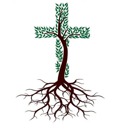 Avatar for Deep Roots Services