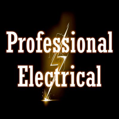Avatar for Professional Electrical