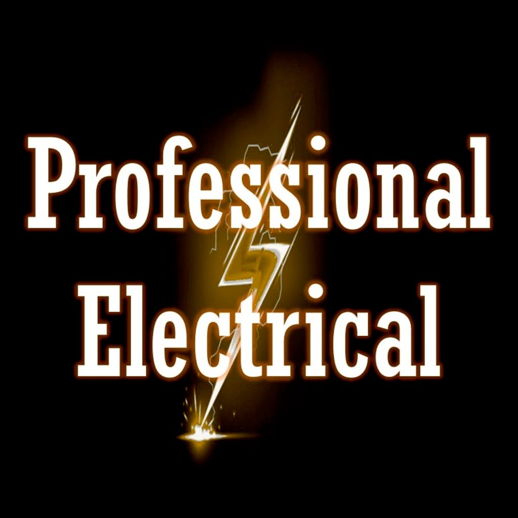 Professional Electrical