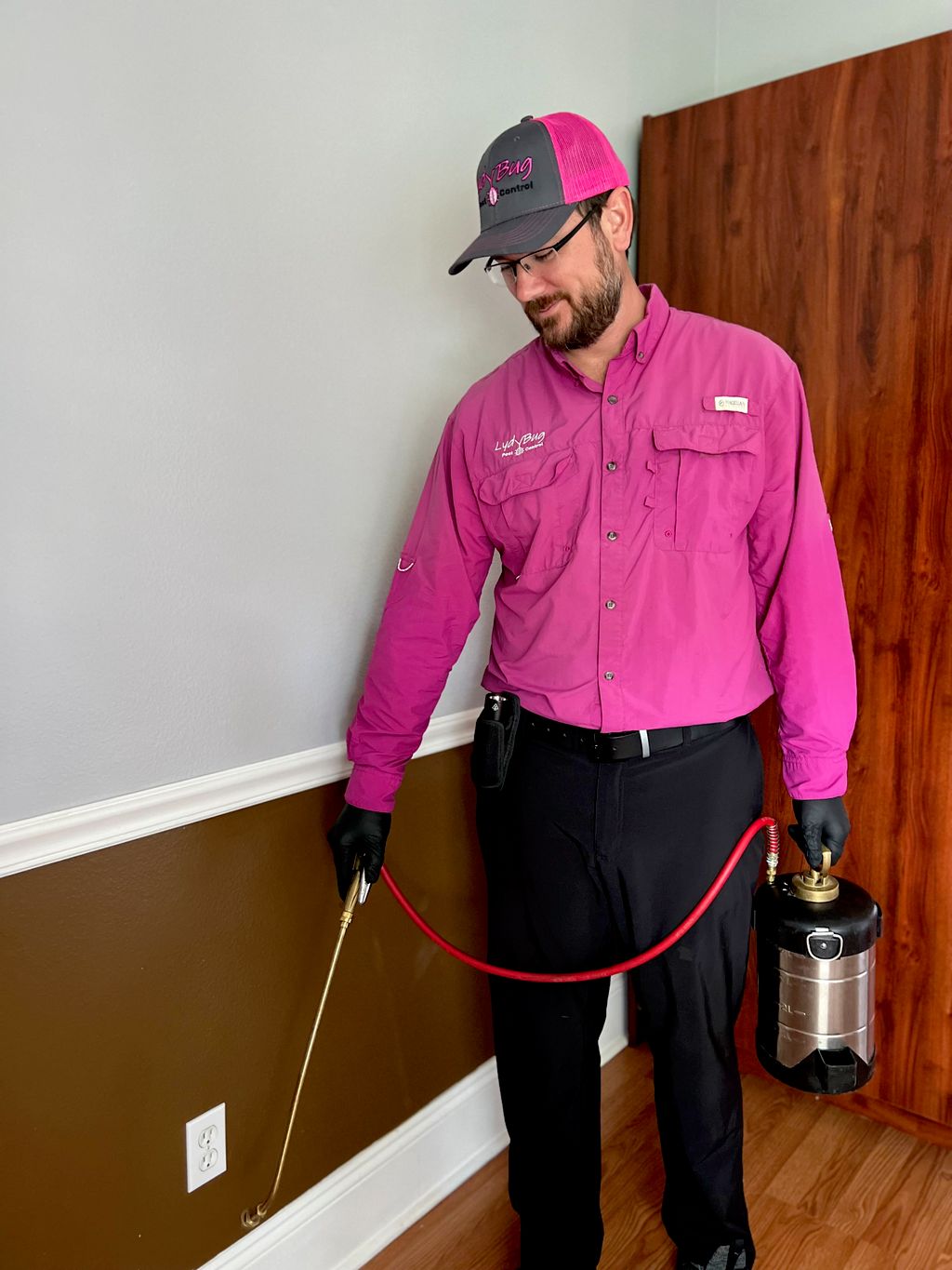 Interior treatment in action