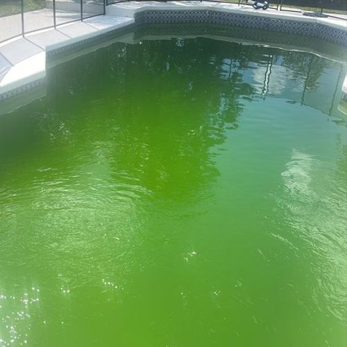 I just hired Shark Pool to “recover” my pool after