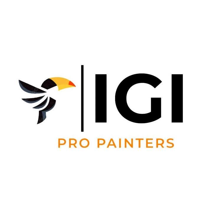 IGI Pro Painters