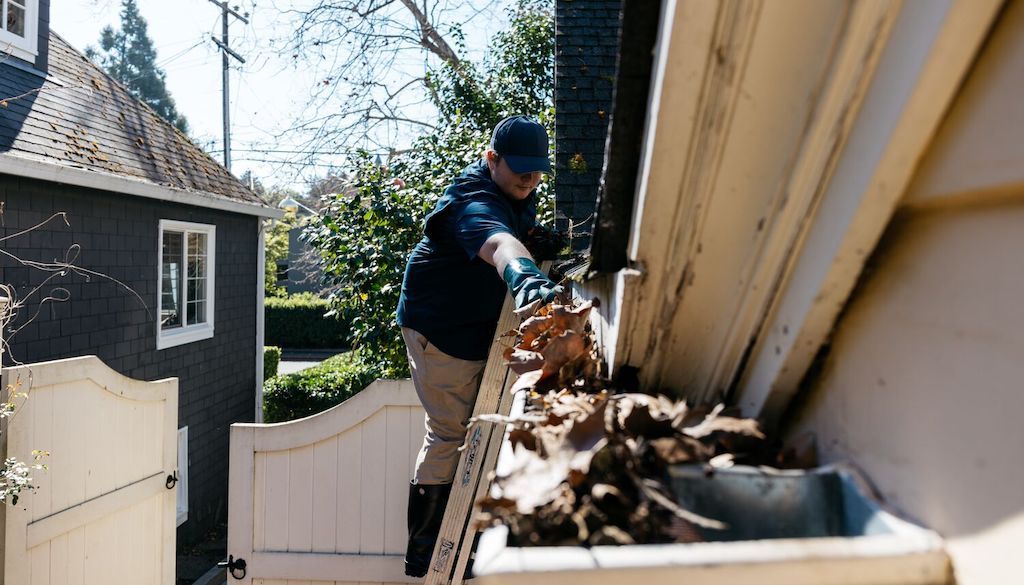 professional cleaning gutters