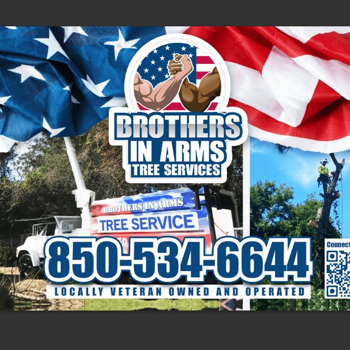 Brothers in Arms Tree Services, LLC
