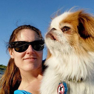 Avatar for Sundog Pet Care - Certified Trainer