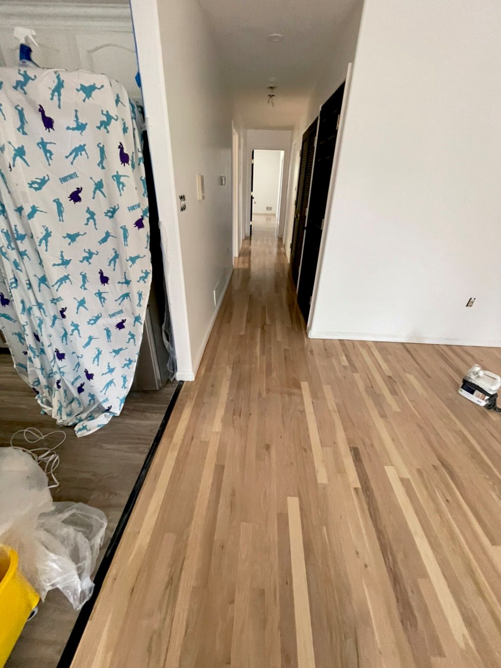 Projects and media