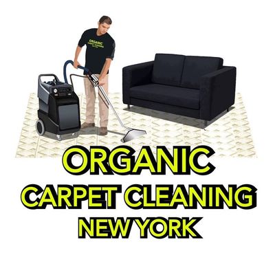 Avatar for Organic Carpet Cleaning