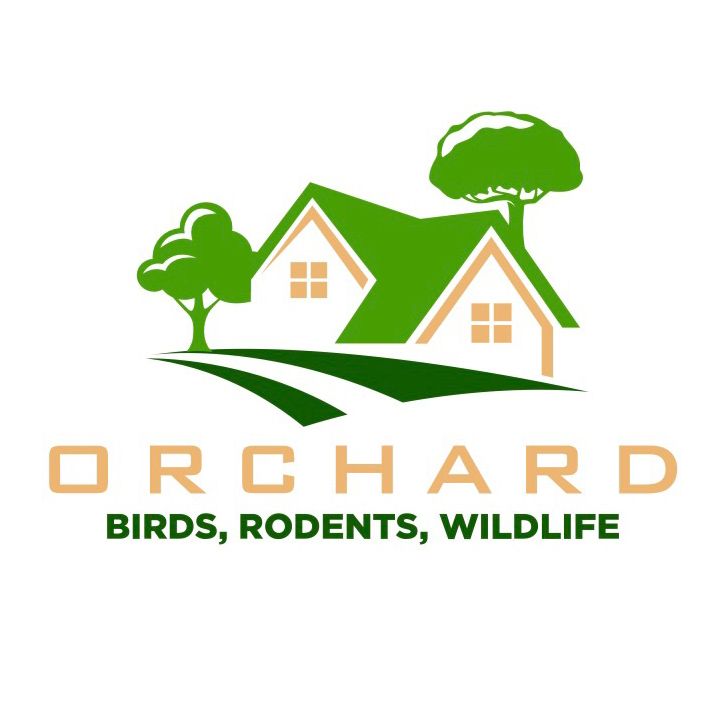 Orchard Inc