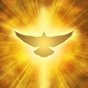 Angels Air Aconditioning And Heating llc.