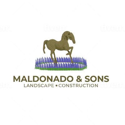 Avatar for Maldonado&Sons Landscape