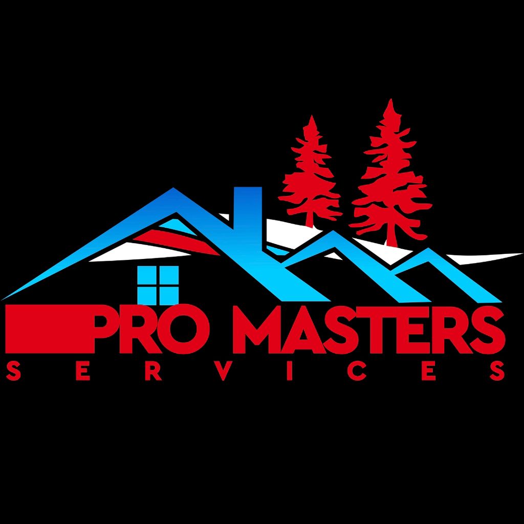 Pro master services