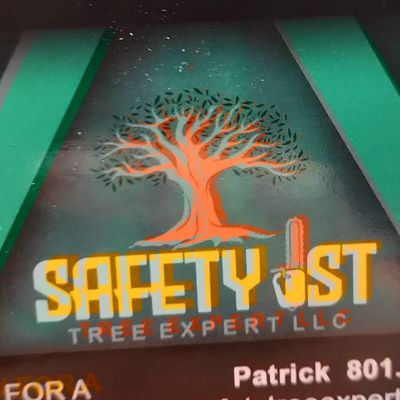 Avatar for Safety 1st Tree Expert LLC