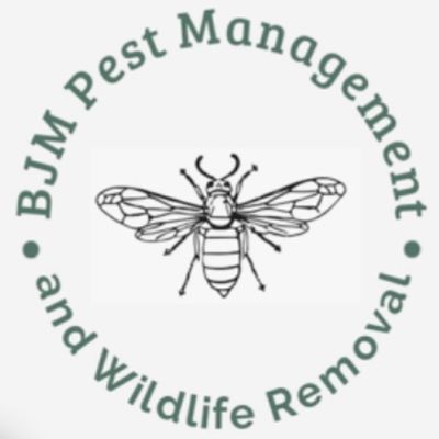 Avatar for BJM Pest Management