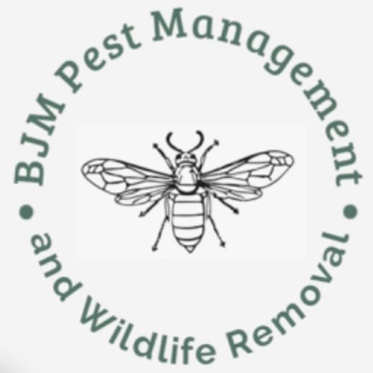 BJM Pest Management