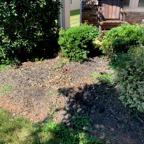 Did a excellent job, removed my crape Myrtle, and 